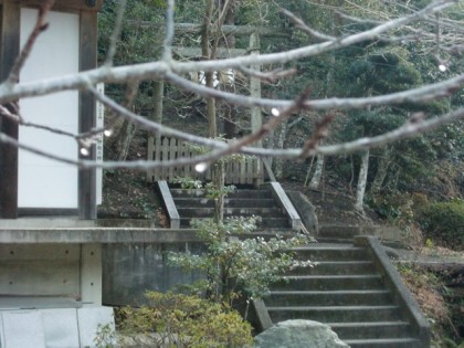 sanpo korunotubu sanpo korunotubu