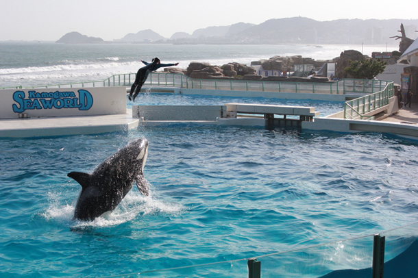 周辺観光 浜辺の湯 浪漫の歌 宿 中屋 房総鴨川安房小湊の温泉旅館