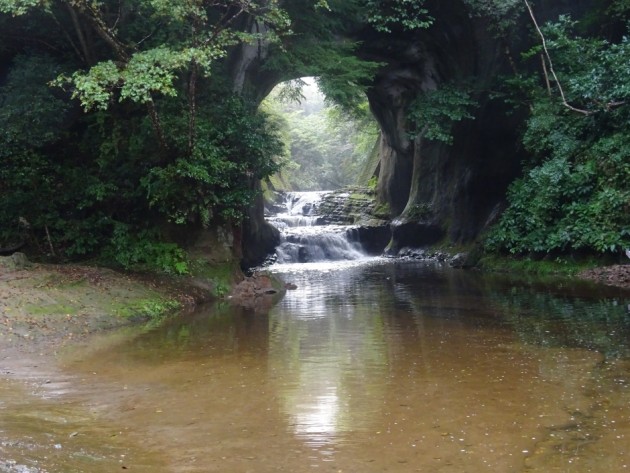 dsc00511